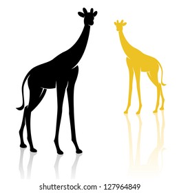 Vector image of an giraffe on a white background