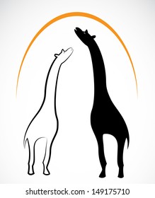 Vector image of an giraffe on white background 