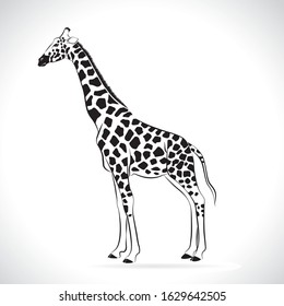 Giraffe Tattoo High Res Stock Images Shutterstock
