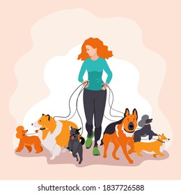 Vector Image Of A Girl Walks Big And Small Dogs. Dog Walking Work. Collie, German Shepherd, Poodle, Corgi On A Leash With The Owner. Four-legged Friends Of Man. Love For Animals As A Lifestyle.