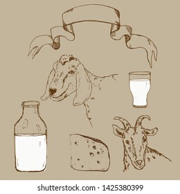 Vector image of goat, goat milk bottle and vintage banner. A set of agricultural illustrations in the style of engraving for milk farm emblem.