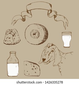 Vector image of goat, goat milk bottle, cheese and vintage banner. A set of agricultural illustrations in the style of engraving for milk farm emblem.