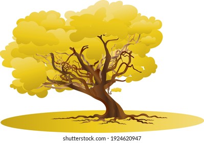 Vector image of a golden, fall, autumn tree with brown branches, yellow leaves and white background.