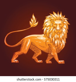 Vector image of a golden heraldic lion with a big mane standing turned right on a dark background. Coat of arms, heraldry, emblem, symbol. Vector illustration.