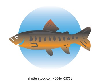 Vektorillustration eines Goldfisch