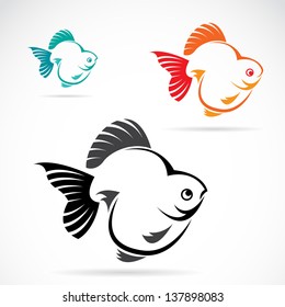 Vector image of an goldfish on white background