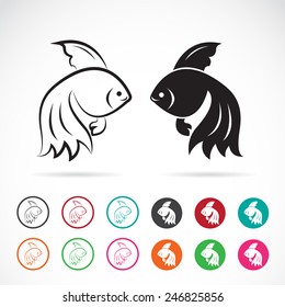 Vector image of an goldfish on white background