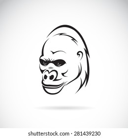 Vector image of an gorilla head on white background
