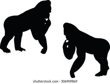 Vector Image Vector Image - gorilla silhouette, isolated on white background
- gorilla silhouette, isolated on white background
