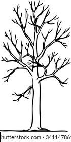 vector image gothic tree without leaves