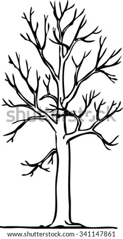 Vector Image Gothic Tree Without Leaves Stock Vector (Royalty Free