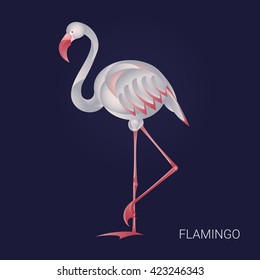 Vector image of graceful flamingo. 