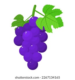 Vector image of grapes. The concept of a healthy diet and lifestyle. A ripe and delicious product. A bright element for your design