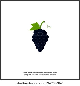 Vector image of grapes on white isolated background. Layers grouped for easy editing illustration. For your design.