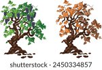 vector image of a grapevine. vineyard