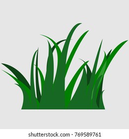 Vector image of grass. Icon of grass on white background