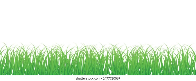 Grass Background Stock Vector (royalty Free) 9434257 