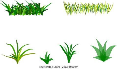 Vector image of grass. PNG grass. Kinds of grass. cartoon grass