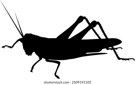 Vector Imagen de un saltamontes