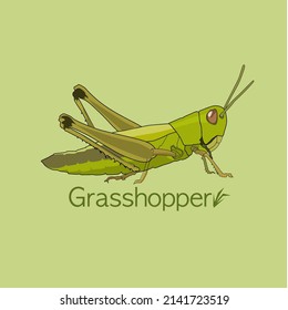 vector image of a grasshopper on a green background.