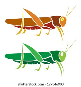 Vector image of an grasshopper on white background