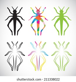 Vector image of an grasshoppers on white background