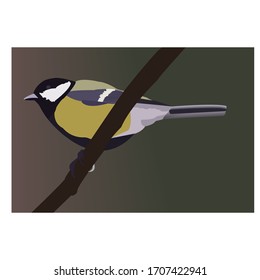 
Vector image of a great tit sitting on a branch on a dark background.