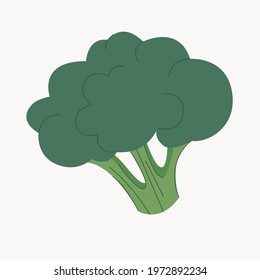 Vector image of green broccoli cabbage on white background. Cartoon flat illustration.