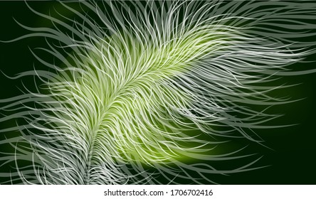 Vector image in green colors and a transparent feather.
