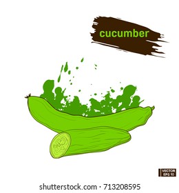 Vector image. Green cucumber sketch. Hand drawn the element. Vegetarian cuisine. Imitation of splashes and blots ink