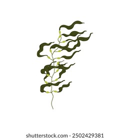 Vector image of green exotic algae with long leaves forming a living ecosystem on a white background. Ideal for creating marine graphics and design