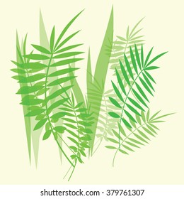 Vector image with green fern leaves and branches on white background 