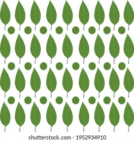 Vector image of green leaf and circle background that can be used as decoration