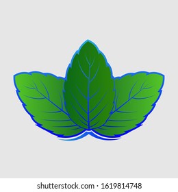 vector image of a green leaf shape