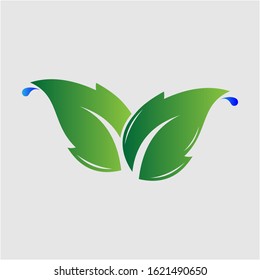 vector image of a green leaf shape