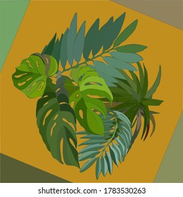 vector image of green monstera palm branch leaves
