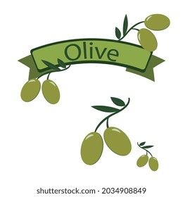 Vector image of green olives on a branch and a sign with the name.