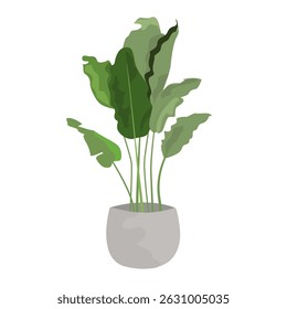  Vector image of green plant in a pot, vector flat leaf plant isolated on white background