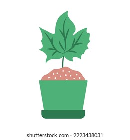 vector image green pots with soil and seeded plants with white background