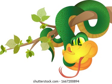 Vector image of a green snake hanging on a tree branch made in cartoon style, but having a volume.