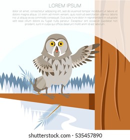 Vector image of the Grey Owl on the winter tree flat background