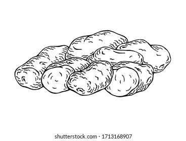 A vector image of a group of two halves and five whole potato tubers in the technique of black and white graphic on a white background (isolated object)