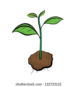 vector image of growth little tree form brown soil, with its root, cartoon vector