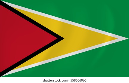 Vector image of the Guyana waving flag