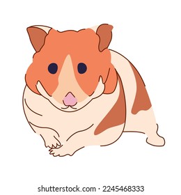 Vector image of a hamster, pet illustration