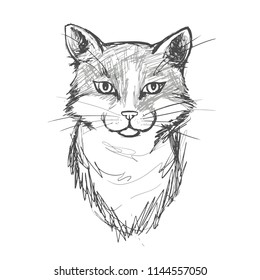 Vector image. Hand drawn cats. Trace sketch head of cute cat.