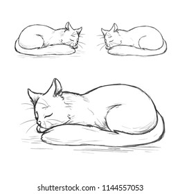 Vector image. Hand drawn cats. Trace sketch sleeping of cute cat. Different trace options.