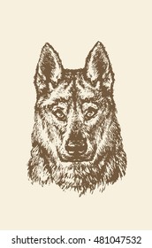 Vector image of hand drawn German Shepherd