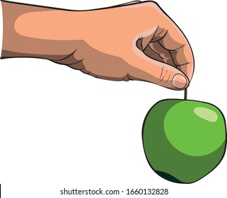 Vector image of a hand holding an apple by the stalk. 
The image is made in three layers. 
Contour, light shadow, color.