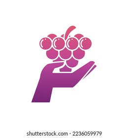 vector image of hand holding grapes on white background